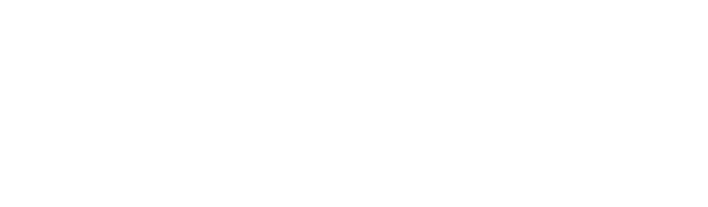 AmeriSys